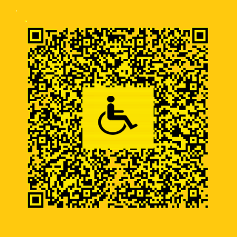 Transporte adaptado